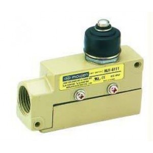 Interlock Switch - BCC32-2